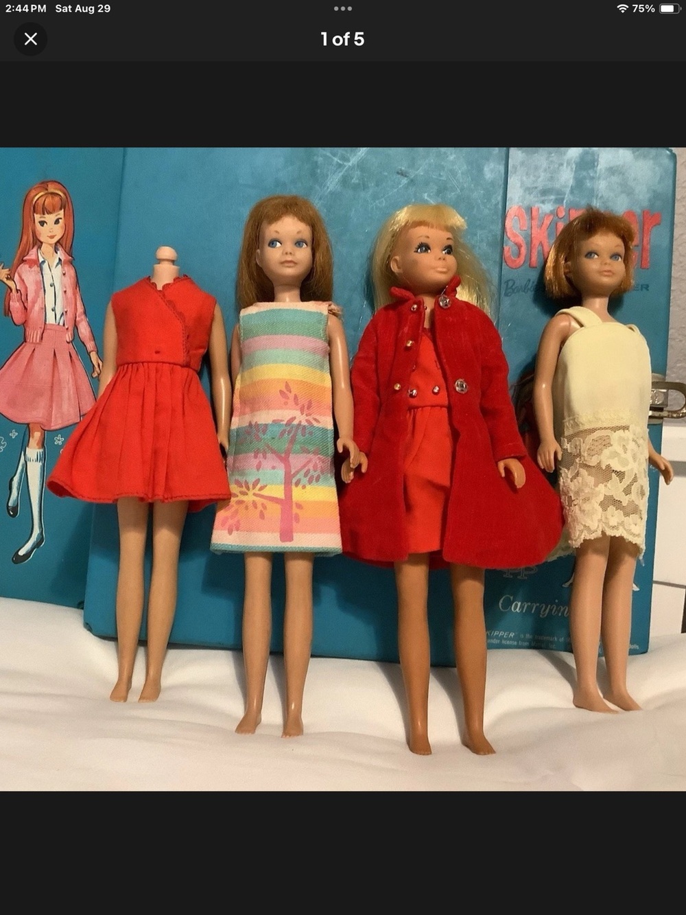 Vintage Barbie skipper case clothing, doll